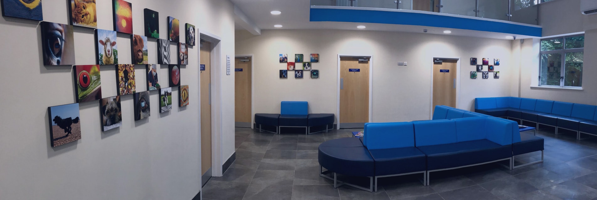 Veterinary Vision - Newton Mearns Branch in Glasgow