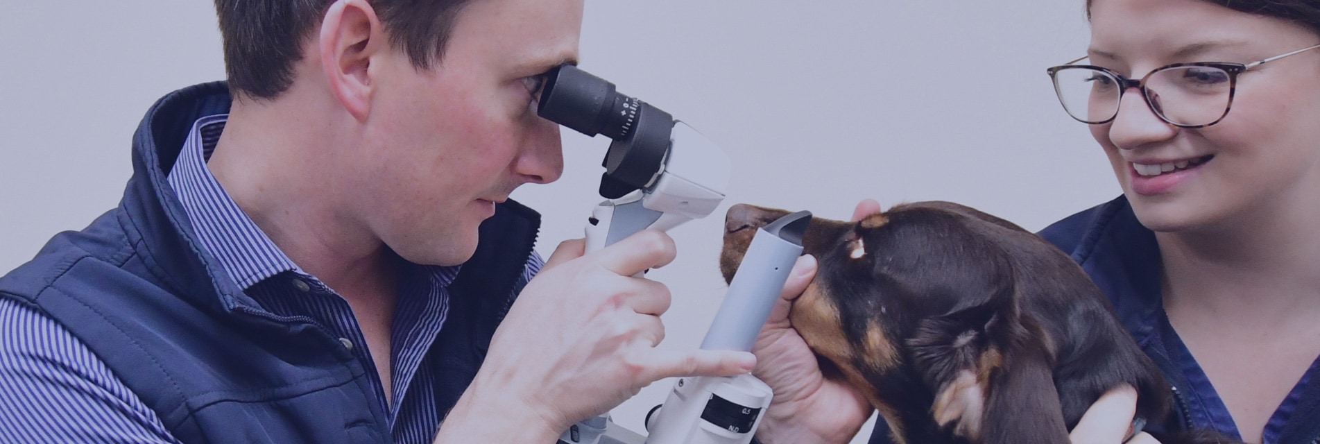 Veterinary Vision Services