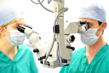 Veterinary Ophthalmologists